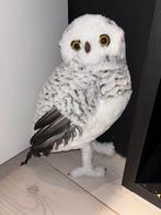 Witte sneeuw uil, Ophalen, Zo goed als nieuw, Vogel, Beeldje of Figuurtje