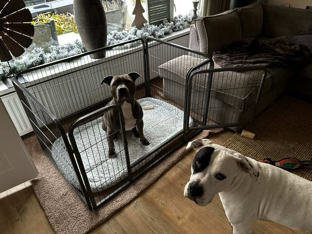 Open bench hond, Dieren en Toebehoren, Hondenbenches, Ophalen, Gebruikt