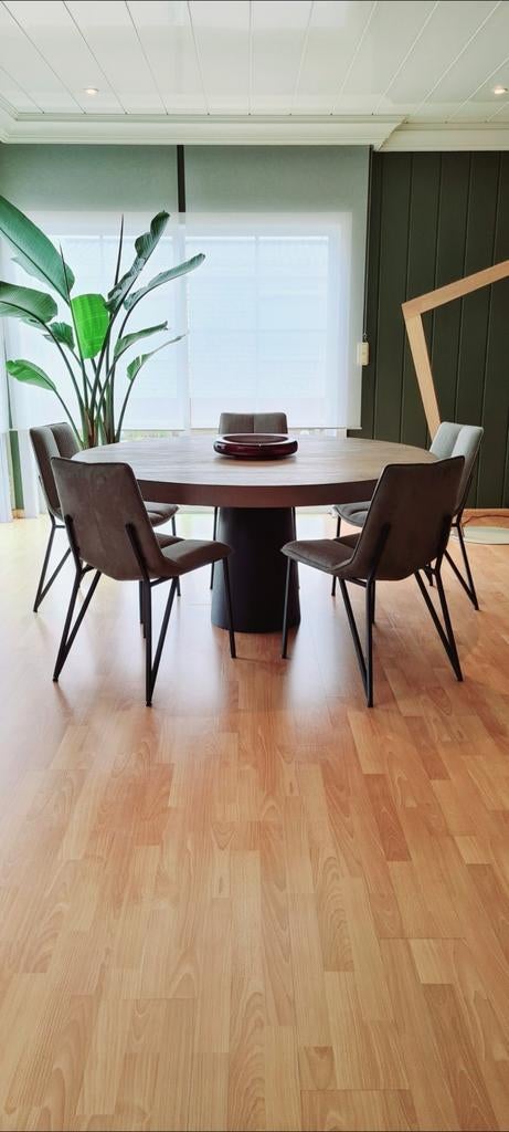 NU voor -1195€ eettafel + xooon stoelen, Ophalen of Verzenden, Gebruikt, 4 tot 6 stoelen