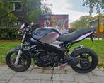 Triumph Custom Bike - 955cc aan Adrenaline, Motoren, Particulier, Naked bike