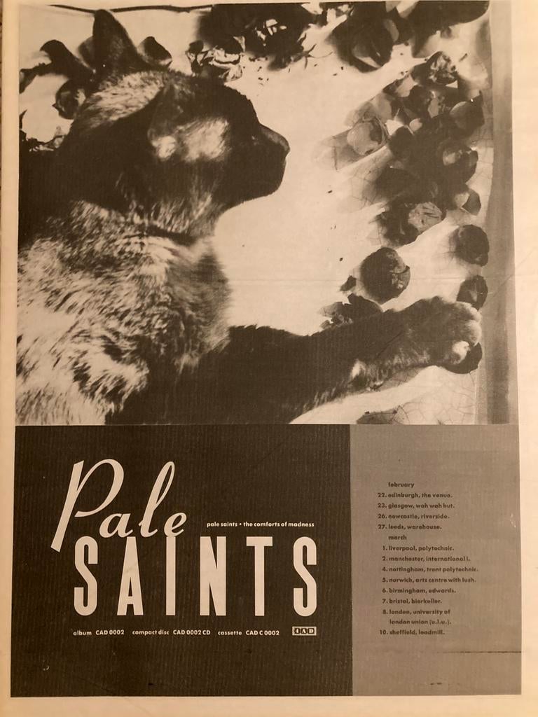 PALE SAINTS Comforts Of Madness tour A3 advertentie, Ophalen of Verzenden, Zo goed als nieuw