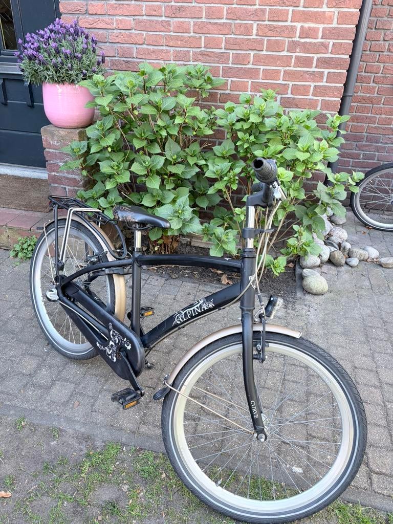 Alpina Curve J24 lava stone matt r3, Fietsen en Brommers, Ophalen, Gebruikt, 24 inch, Versnellingen