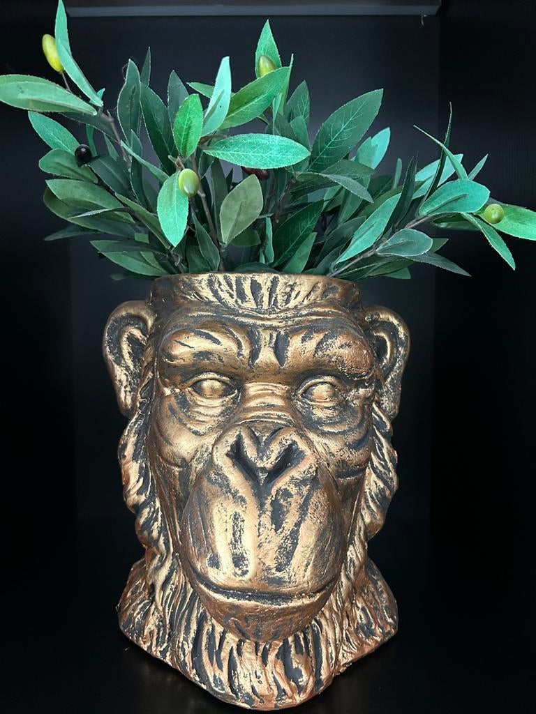 Apenkoppen plantenpot, Ophalen