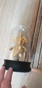 beeld 2 schildpad schilpadden in stolp goud kleurig, Ophalen, Nieuw