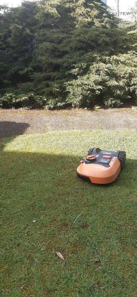 robotmaaier Landroid en kantenmaaier, Tuin en Terras, Robotmaaiers, Ophalen, Gebruikt, Bestuurbaar via app, VIKING