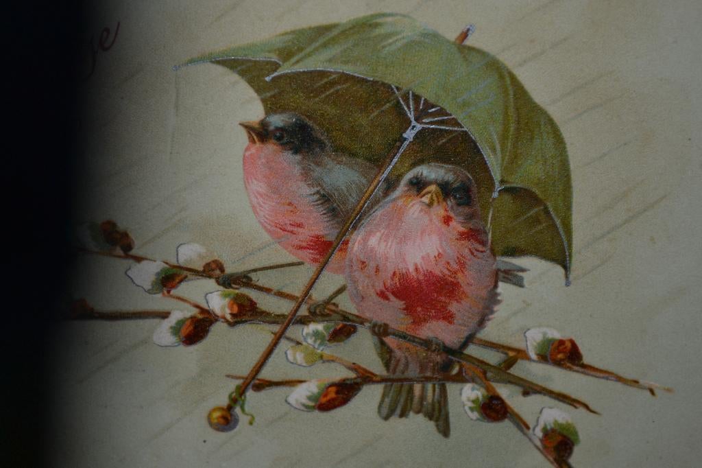 frankrijk 1905 twee vogels onder paraplu wilgenkatjes, Ophalen of Verzenden, Voor 1920, Gelopen, Sterren en Beroemdheden