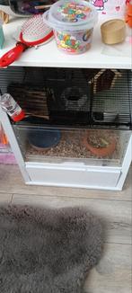 Twee nette omlet hamsterkooien 42,50 per kooi of beide 80, Kooi, Minder dan 75 cm, Zo goed als nieuw, Hamster