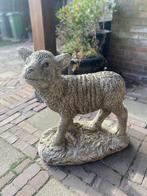 Tuinbeeld lammetje, Ophalen, Gebruikt, Beton, Dierenbeeld