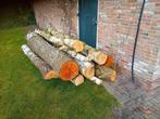 Brandhout: Berkenhout en Overige Houtsoorten Stammen, Tuin en Terras, Minder dan 3 m³, Ophalen of Verzenden, Berkenhout, Stammen