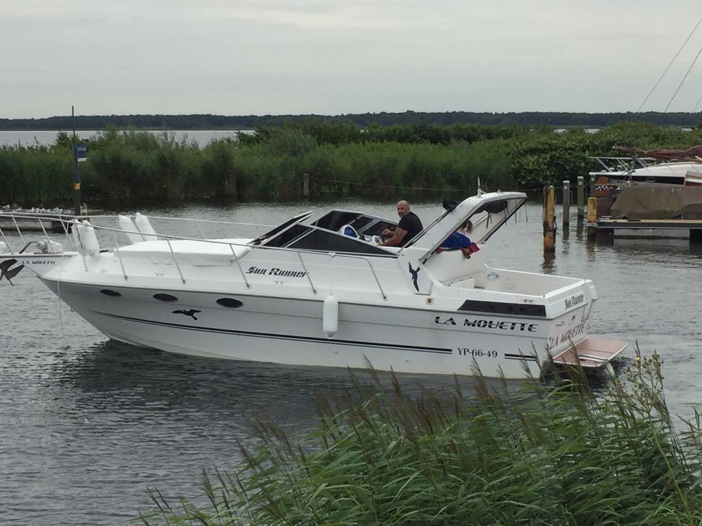 Sun runner 330, Watersport en Boten, Motorboten en Motorjachten, Gebruikt, Polyester, 9 tot 12 meter, Benzine, 50 pk of meer