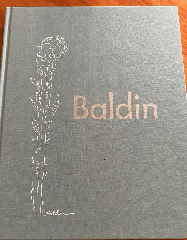Kunstboek Baldin; De magie van het moment, Boeken, Kunst en Cultuur | Beeldend, Ophalen of Verzenden, Nieuw