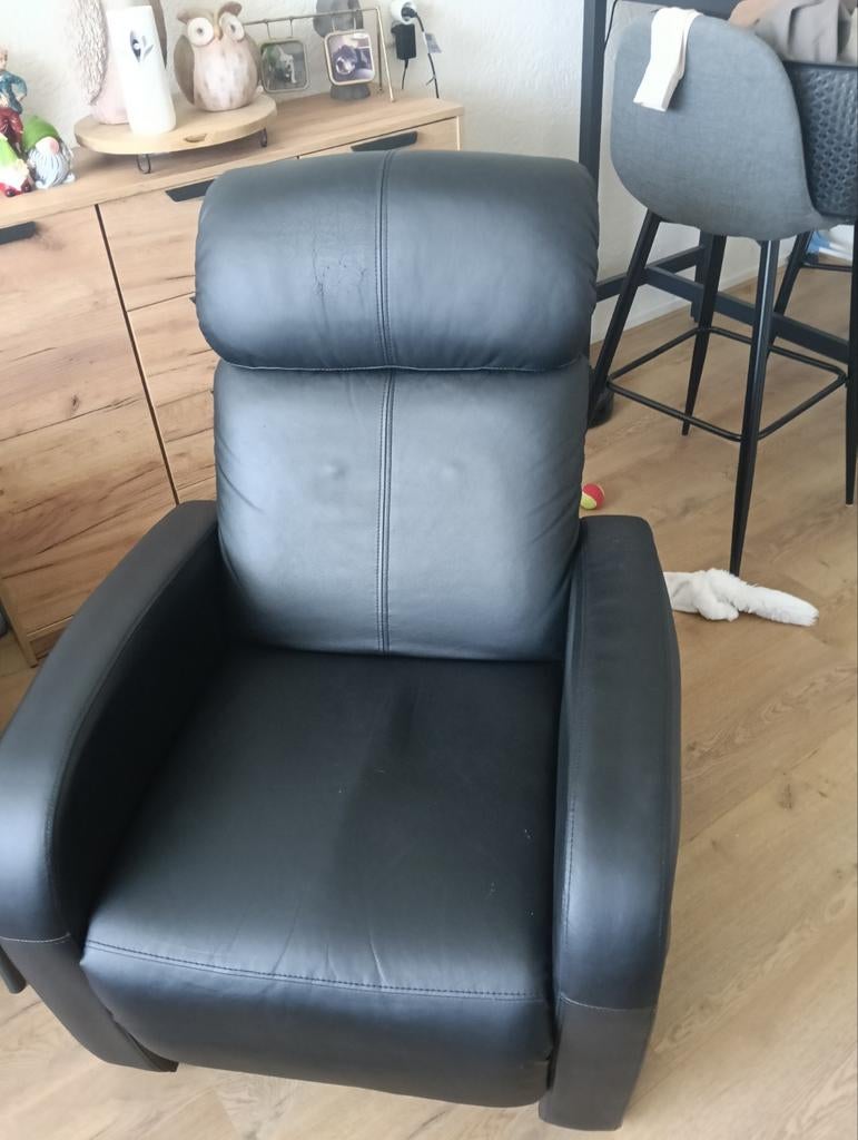 Relax fauteuil, Ophalen, Leer