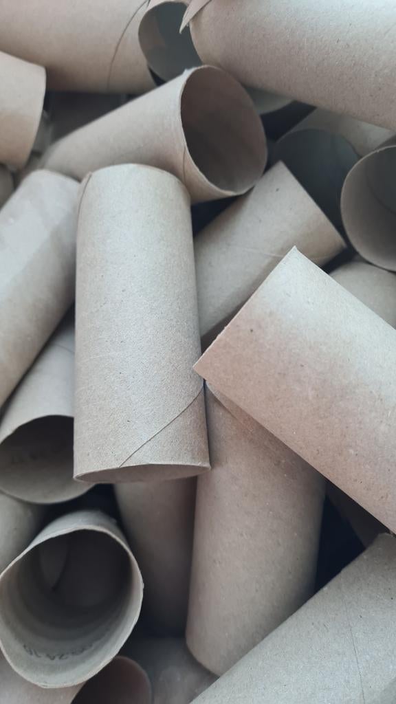 Ruim 150 toilet rollen voor knutselen, Hobby en Vrije tijd, Knutselen, Ophalen of Verzenden