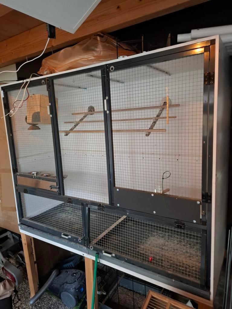 Mooie vogelkooi uitvliegkooi, Dieren en Toebehoren, Vogels | Hokken en Kooien, Ophalen, Zo goed als nieuw, Metaal, Vogelkooi