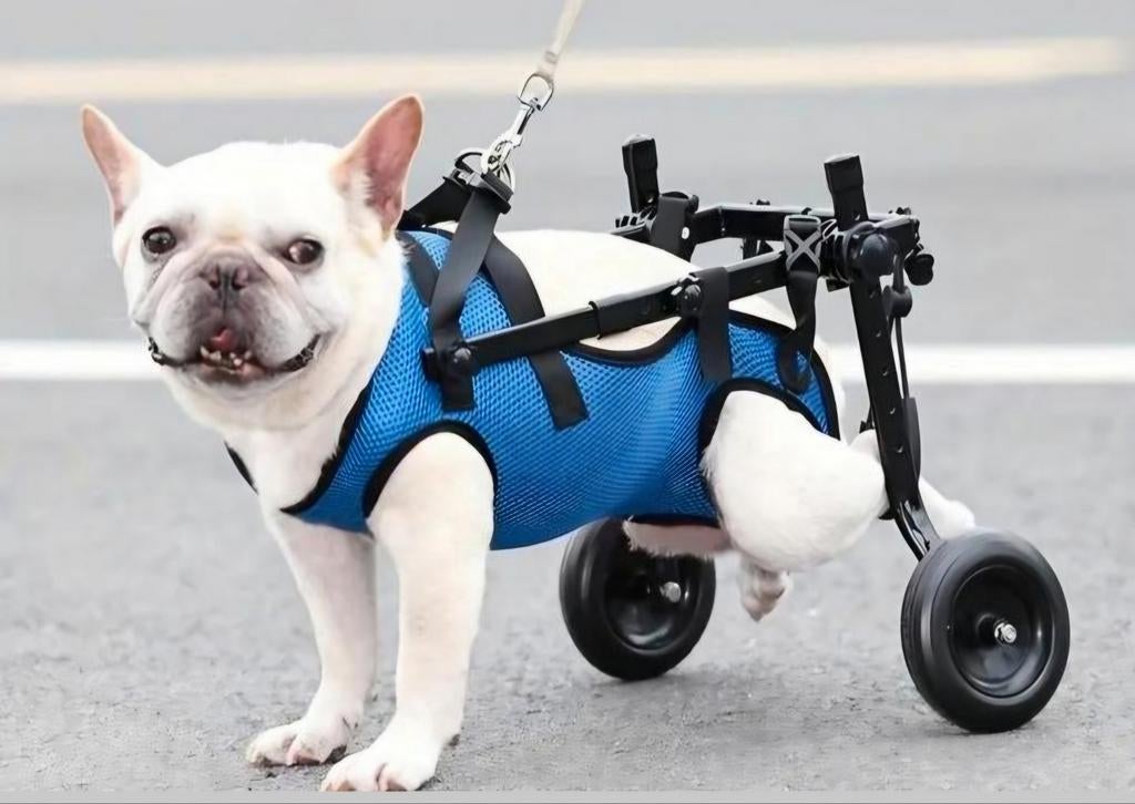 Hondenrol stoel - Dog weelchair ZGAN, Dieren en Toebehoren, Honden-accessoires, Ophalen of Verzenden, Nieuw