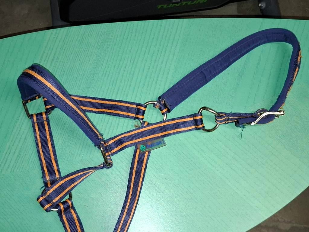 Halsters bucas, eskadron, Harry's horse, Ophalen of Verzenden