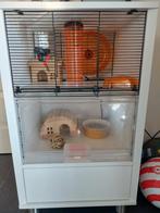 Hamsterkooi Omlet, Ophalen, Minder dan 75 cm, Kooi, Minder dan 60 cm