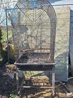 Papegaai kooi, Dieren en Toebehoren, Vogels | Hokken en Kooien, Ophalen of Verzenden, Metaal, Vogelkooi