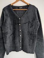 Prachtig kwaliteit vest maat xl, Kleding | Dames, Truien en Vesten, Ophalen of Verzenden, Nieuw