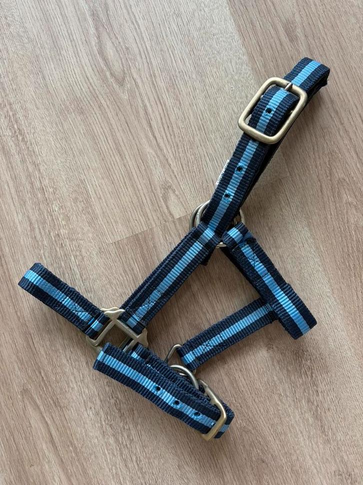 Shetlander halster blauw, Dieren en Toebehoren, Paarden en Pony's | Hoofdstellen en Tuigage, Zo goed als nieuw, Recreatie, Ophalen of Verzenden