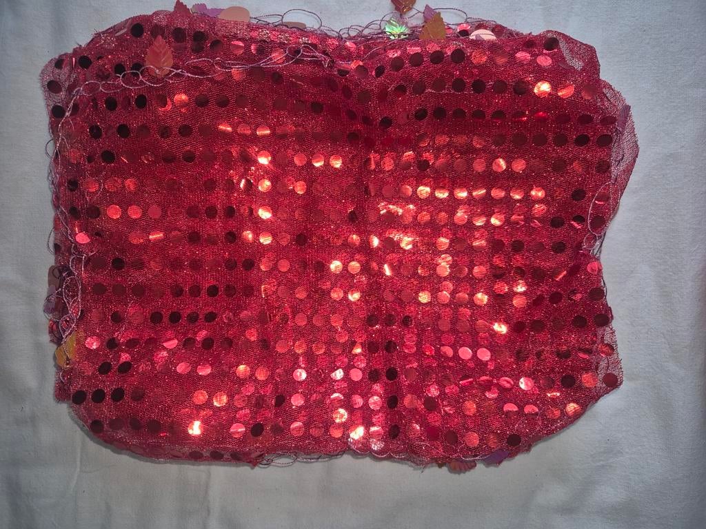 Henna Spullen: Rode Pailletten Top en Bloemen Haarband, Maat 38/40 (M), Ophalen of Verzenden, Overige thema's, Kleding