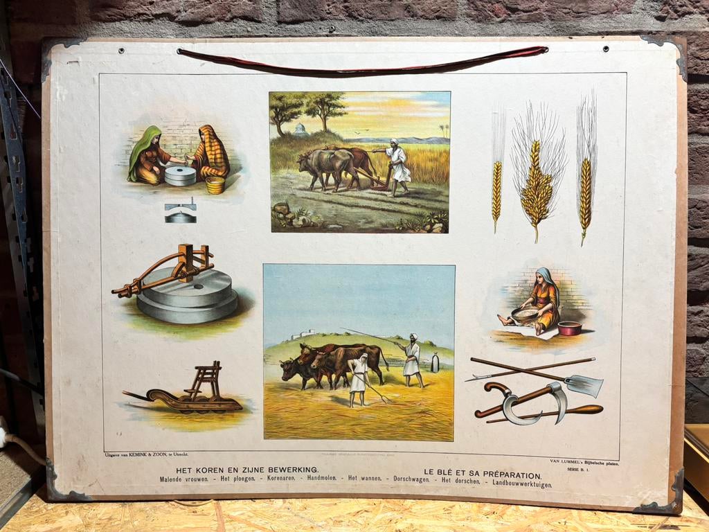 5 oude schoolplaten, Ophalen, Geschiedenis