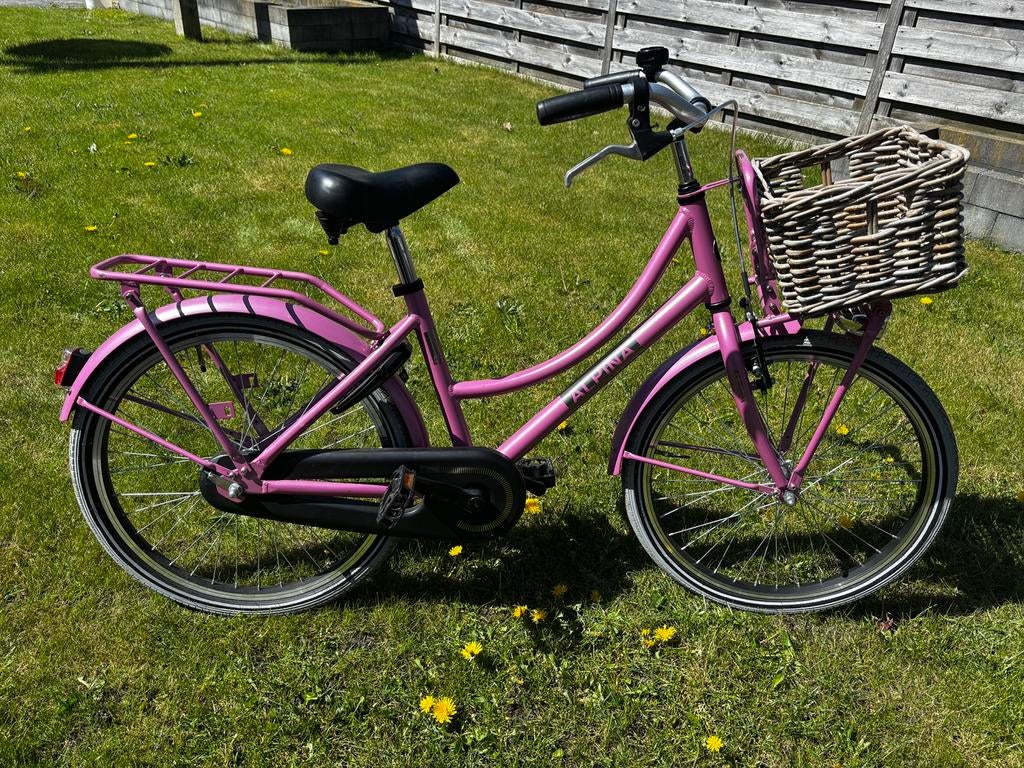 Alpina 22 inch meisjesfiets, Fietsen en Brommers, Ophalen of Verzenden, Zo goed als nieuw, 22 inch