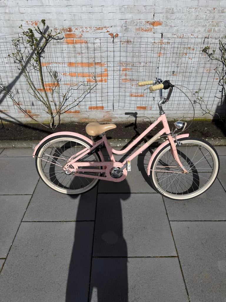 Roze damesfiets 20 inch voor meisjes 10-13 jaar, Fietsen en Brommers, Fietsen | Meisjes, Ophalen, Gebruikt, 20 inch, Handrem