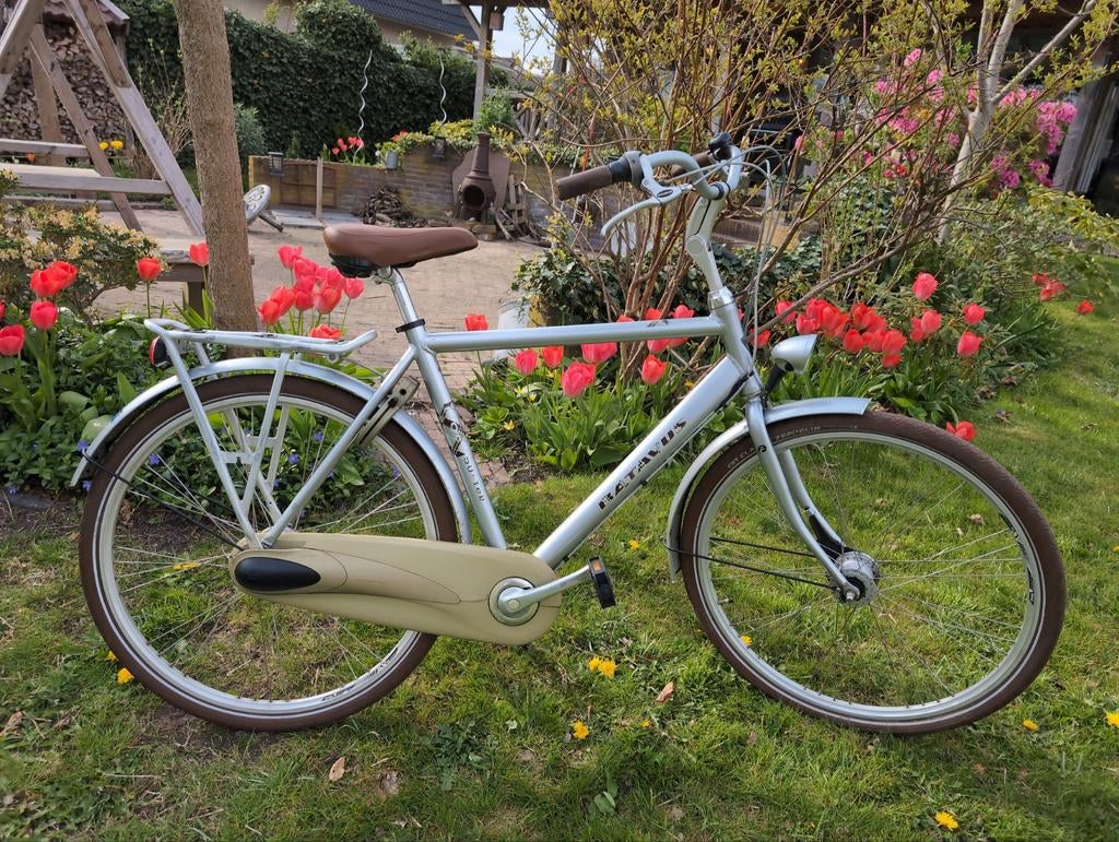 Batavus Blockbuster herenfiets, Fietsen en Brommers, Ophalen, Gebruikt, Batavus, Versnellingen