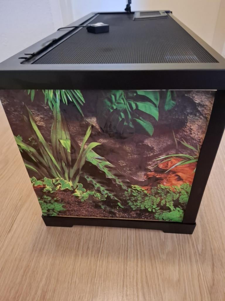Mooi terrarium te koop, Ophalen, Zo goed als nieuw, Terrarium of Paludarium