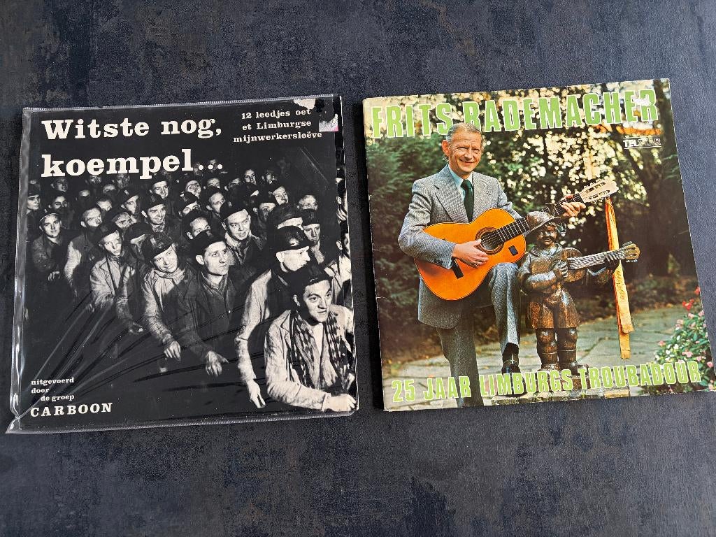Limburgse Lp's., Ophalen of Verzenden, Gebruikt, 12 inch, Streekmuziek