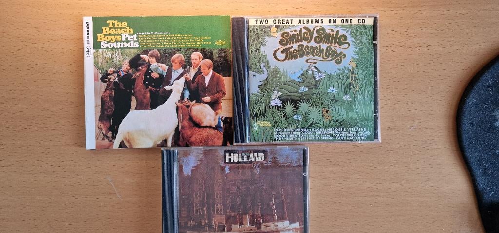 The Beach Boys, Ophalen of Verzenden, Zo goed als nieuw