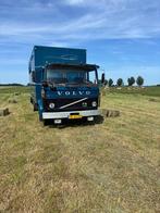 Volvo F610 - nw Apk (a1575€) - belastingvrij - nette basis, Overige merken, Buscamper of Camperbus, 7 tot 8 meter, Particulier
