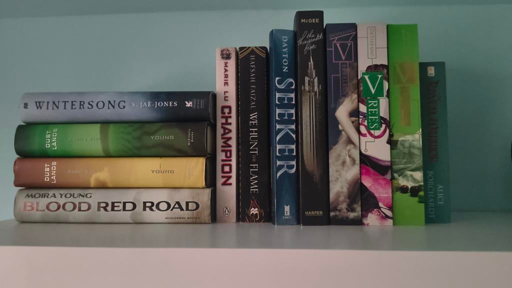 Young Adult - Fantasy - Mix van Engels en Nederlands., Boeken, Ophalen, Zo goed als nieuw