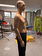 Etalagepop, Ophalen of Verzenden