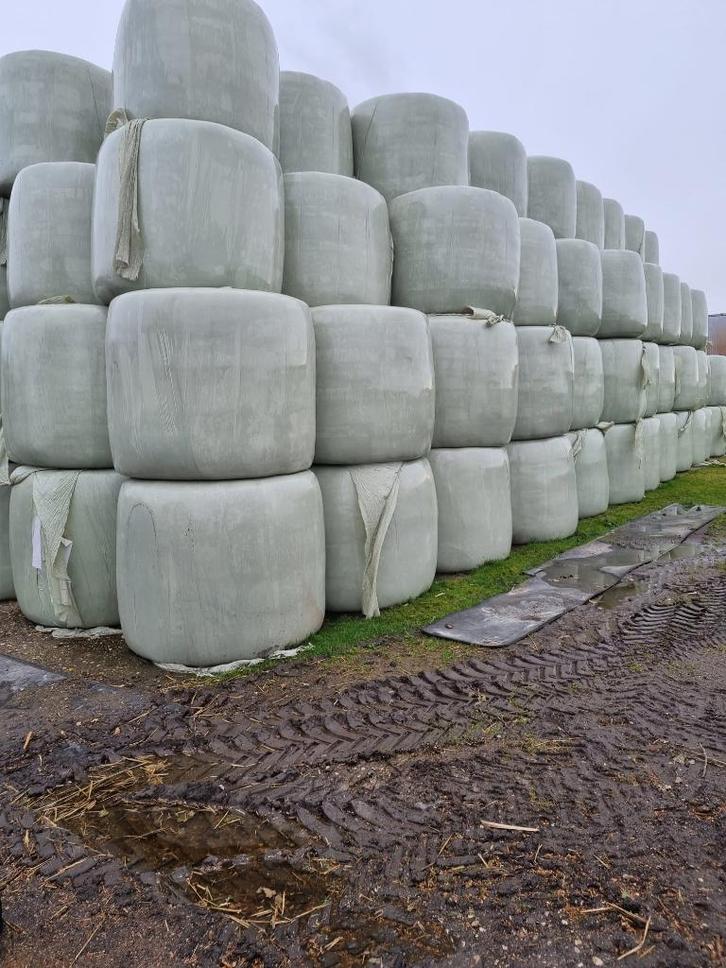 Ronde balen hooi, 1e snede, Dieren en Toebehoren, Dierenvoeding, Vee, Ophalen of Verzenden