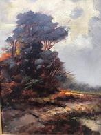 Landschap Pieter Vriends, Ophalen