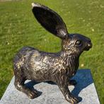 HAAS / bronzen tuinbeeld / brons, Dierenbeeld, Nieuw, Info@huisentuindecoratiemarie.nl, Huis en tuin decoratie marie
