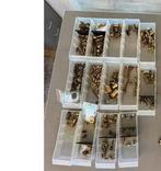 3-cil stoommachine stoom onderdelen, Hobby en Vrije tijd, Modelbouw | Overige, Ophalen of Verzenden, Nieuw, Groter dan 1:32