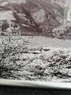 Poster schilderij woestijn met rode auto, Minder dan 50 cm, Onbekend, Ophalen of Verzenden, Zo goed als nieuw