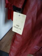 nieuw NEW COLLECTION burgundy jurk 44 -GRATIS zend, Overige kleuren, Verzenden, Maat 42/44 (L), Nieuw