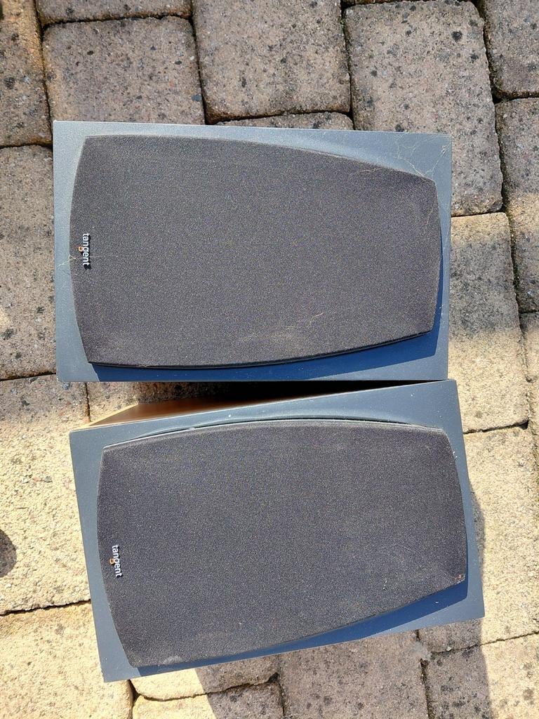 Tangent Millennium 100  Speakers (Set van 2), Gebruikt, 60 tot 120 watt, Front, Rear of Stereo speakers, Ophalen