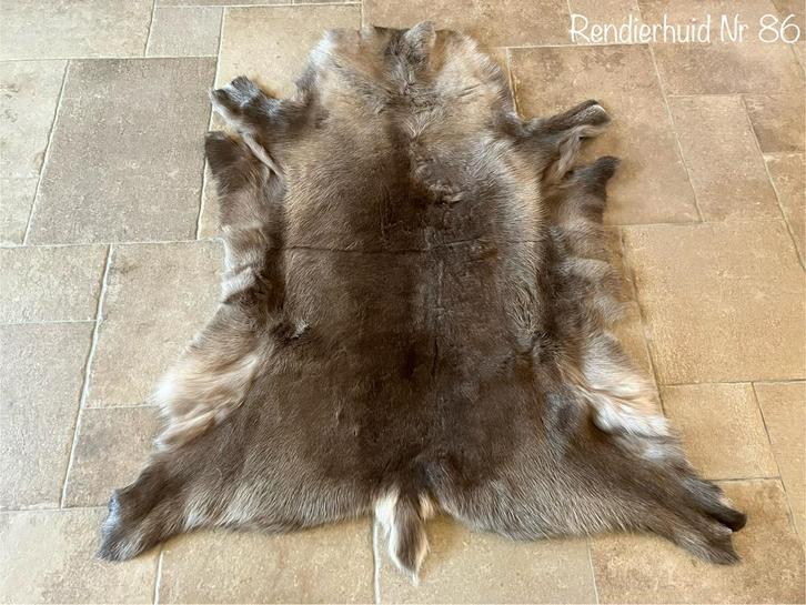 Rendier huiden, Verzamelen, Dierenverzamelingen, Nieuw, Overige typen, Overige soorten, Ophalen of Verzenden