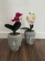 Twee grijze buddha vaasjes, Ophalen of Verzenden, Nieuw, Overige kleuren, Minder dan 50 cm