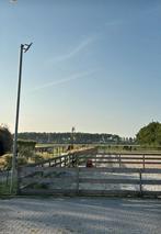 Led Rijbakverlichting voor een paardenbak, rijhal, paddock, Dieren en Toebehoren, Stalling en Weidegang