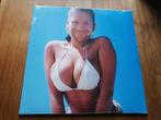 Aphex Twin - Windowlicker (NIEUW), Cd's en Dvd's, Vinyl | Dance en House, Ophalen of Verzenden, Dance Populair, 12 inch, Nieuw in verpakking