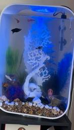 Biorb aquarium 45 liter, Ophalen, Zo goed als nieuw, Leeg aquarium