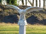 Beeld Adelaar XXL - 175 cm - Steen, Tuin en Terras, Tuinbeelden, Ophalen of Verzenden, Steen, Dierenbeeld