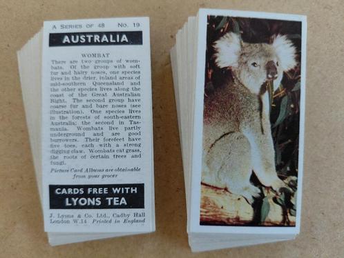 Australia complete set 48 tea cards Lyons Tea 1959, Verzamelen, Overige Verzamelen, Ophalen