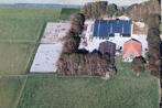 Pensionstalling in Dirkshorn, Dieren en Toebehoren, Weidegang